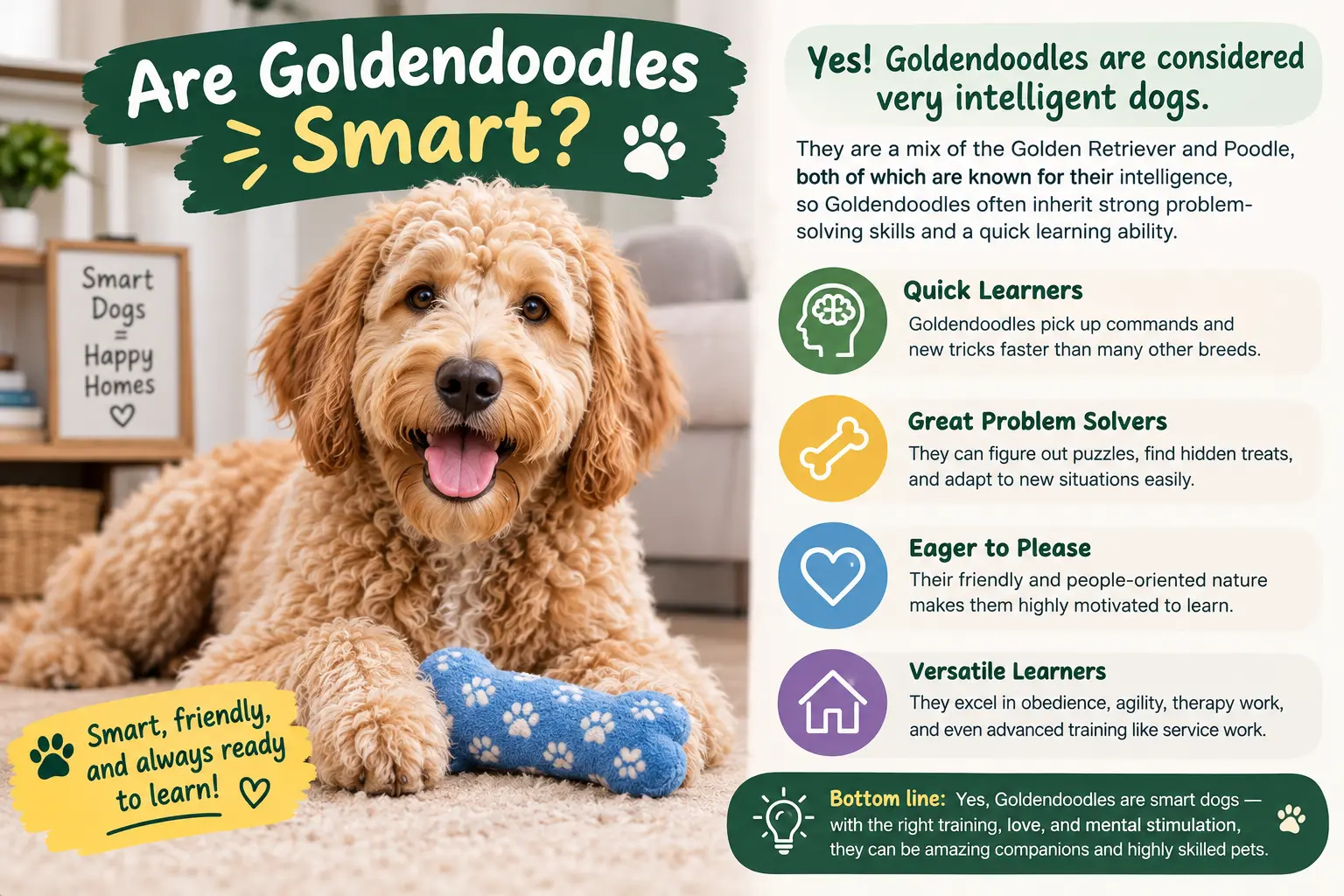 Are Goldendoodles Smart