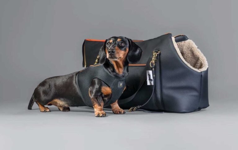 Dachshund Carrier