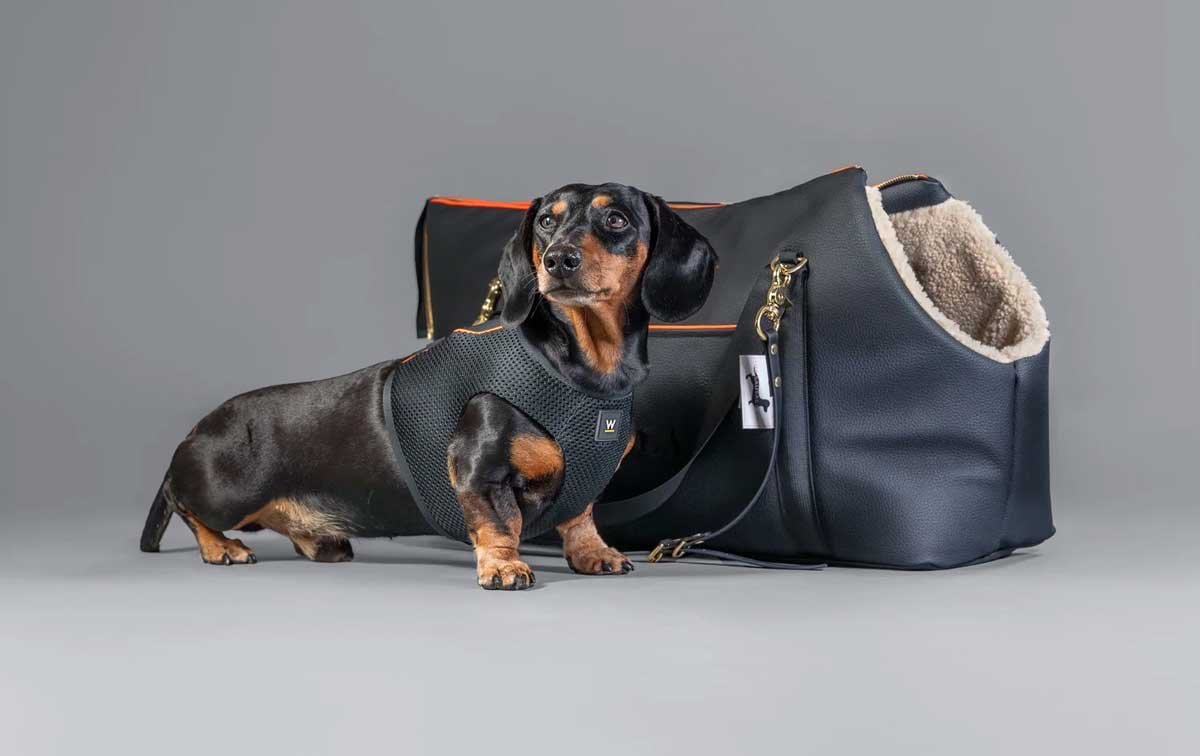 Dachshund Carrier