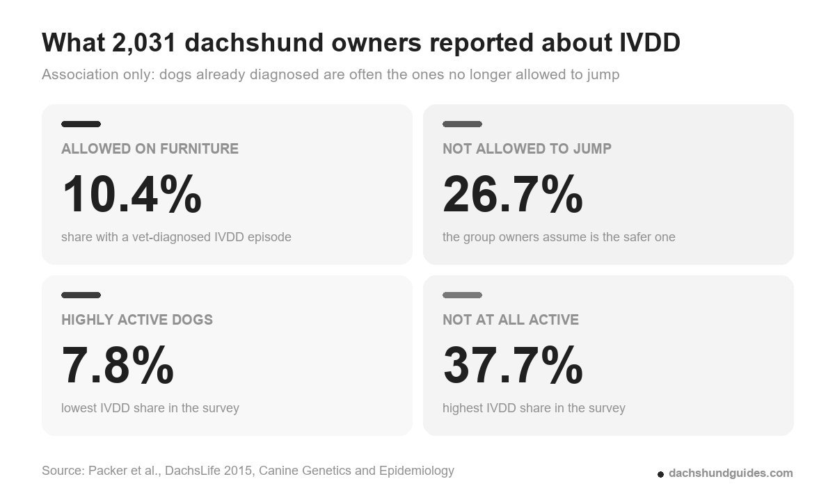 IVDD rates by furniture access and activity level from a survey of 2,031 dachshunds