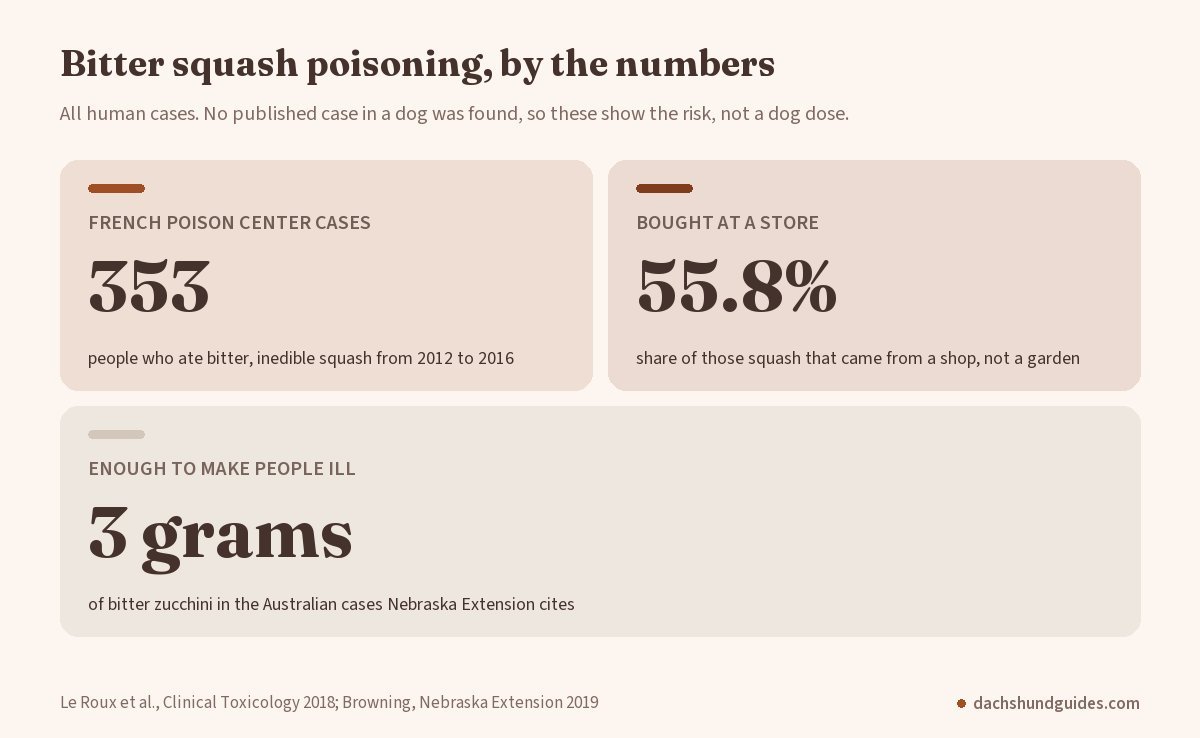 Bitter squash poisoning numbers: 353 people reported to French poison centers from 2012 to 2016, 55.8% of the squash bought in a store, about 3 grams enough to cause illness, and no published dog case