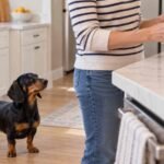 A dog owner reads a cheese-cracker ingredient label while a dachshund waits below the counter