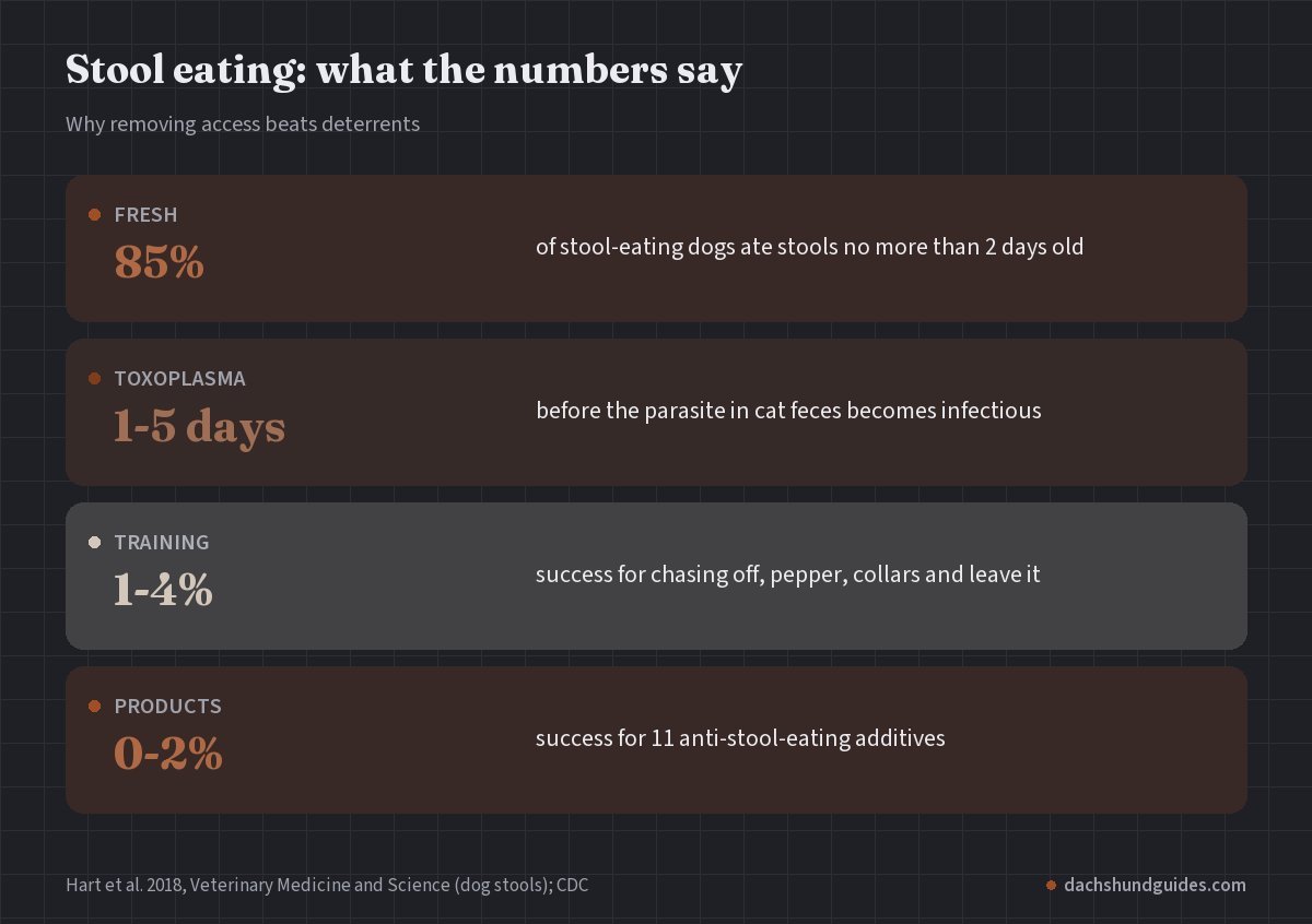 Stool eating figures: 85 percent of stool-eating dogs ate stools under 2 days old, Toxoplasma in cat feces takes 1 to 5 days to become infectious, training fixes worked 1 to 4 percent of the time and 11 additives 0 to 2 percent