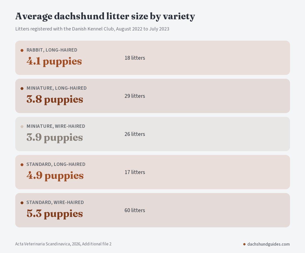 Average dachshund litter size by variety from Danish Kennel Club litters 2022 to 2023, from 3.8 puppies for long-haired miniatures to 5.3 for wire-haired standards