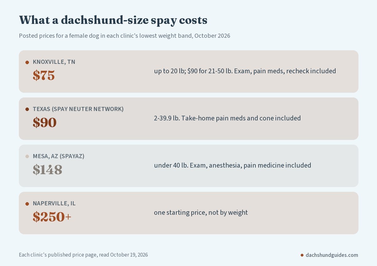 Posted dog spay prices for a small dog at clinics in Knoxville TN, Texas, Mesa AZ and Naperville IL, from 75 to 250 dollars