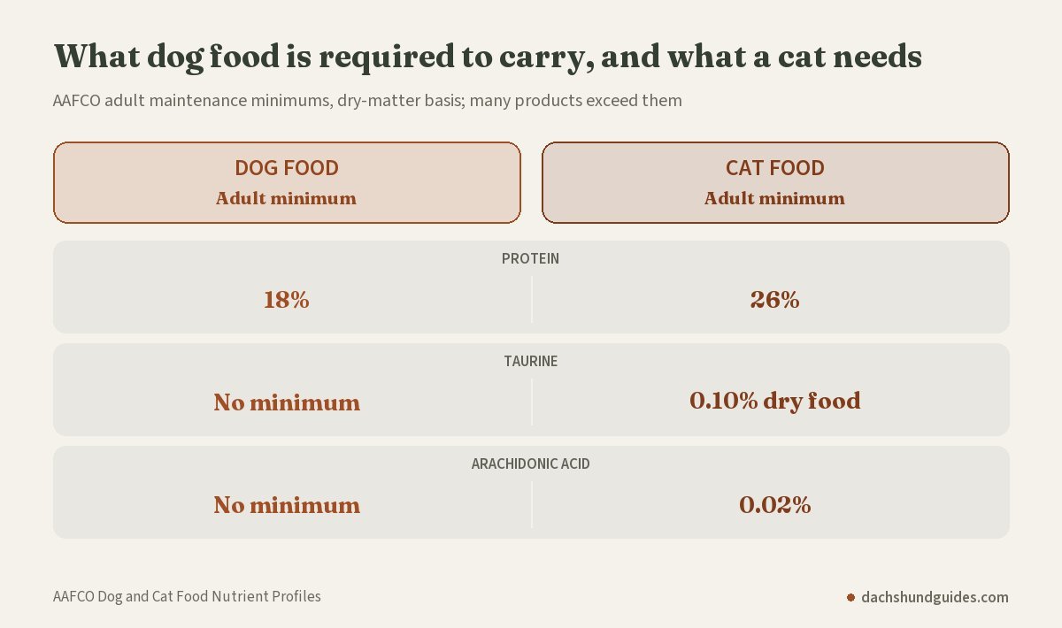 AAFCO adult minimums compared: dog food 18% protein vs cat food 26%, and no taurine or arachidonic acid minimum for dog food