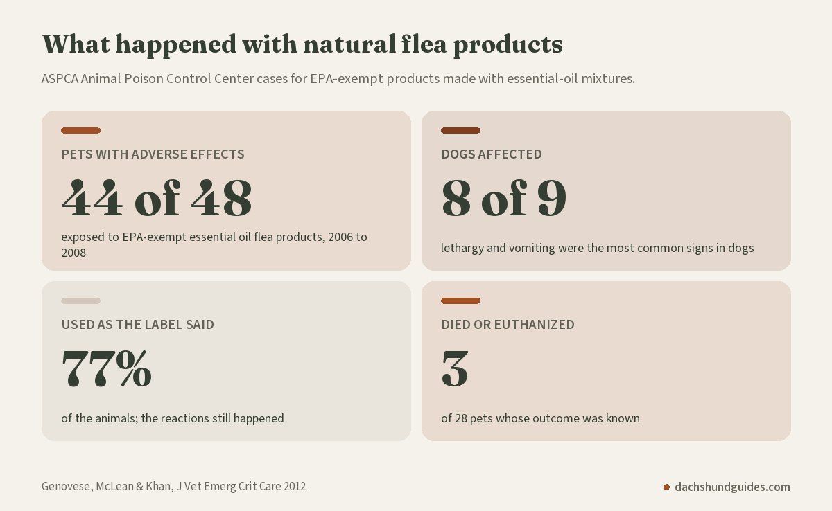 ASPCA poison control records for EPA-exempt essential oil flea products, 2006 to 2008: 44 of 48 pets had adverse effects, 8 of 9 dogs, 77% used as the label directed, 3 died or were euthanized