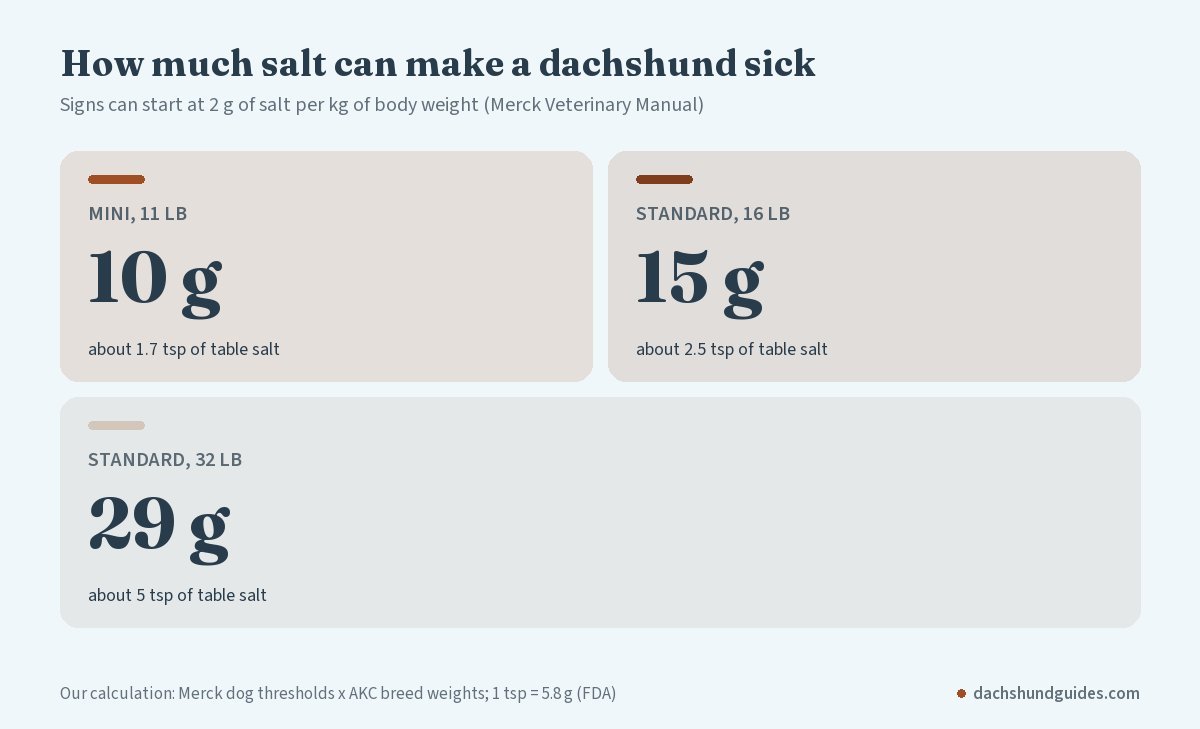 Grams of salt at which signs of salt poisoning can start for an 11-pound miniature, a 16-pound standard and a 32-pound standard dachshund